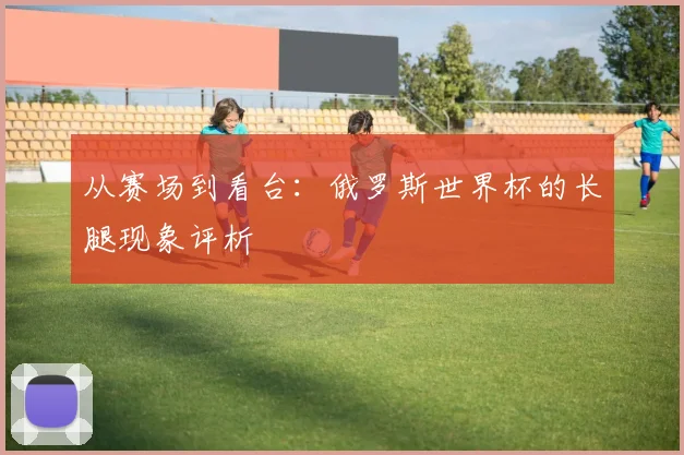 从赛场到看台：俄罗斯世界杯的长腿现象评析
